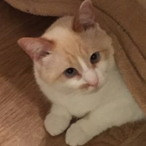 Meet your Posher, Julie